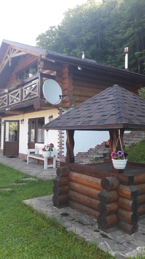 Hotel U Druziv Polyana  Esterno foto